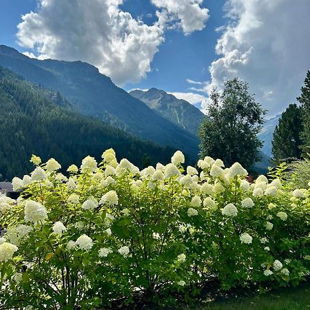 Ferienwohnung Wald Wald im Pinzgau Eksteriør billede