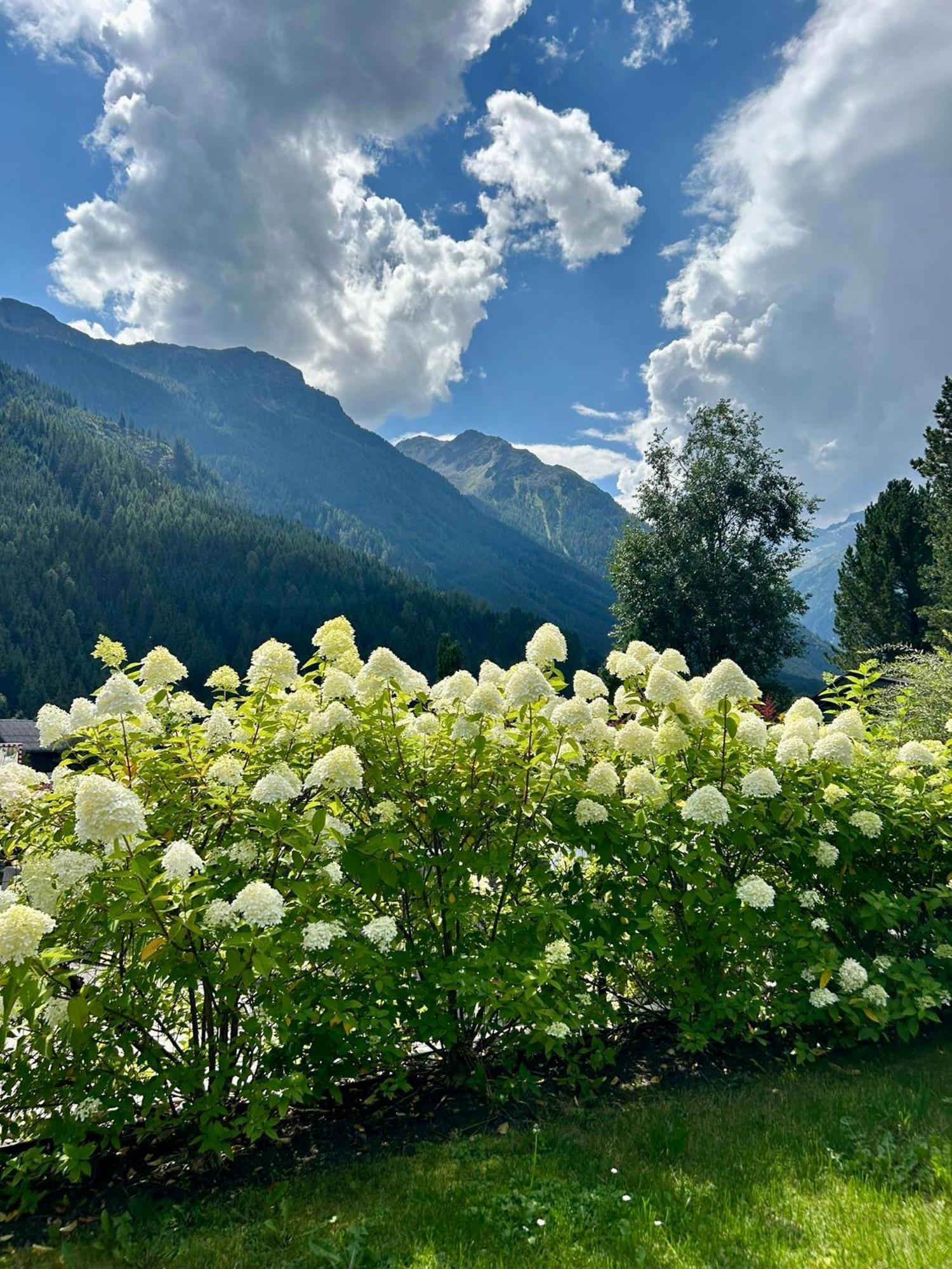 Ferienwohnung Wald Wald im Pinzgau Eksteriør billede